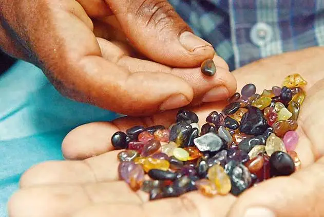In this photograph taken on February 17, 2016, a Sri Lankan gem dealer holds a palmful of rough precious and semi precious stones in Ratnapura district, some 100 kilometres southeast of Colombo. From the Queen of Sheba to Britain's Duchess of Cambridge, Sri Lanka's sapphires have adorned royalty through the ages, but a flood of cheap imitations is threatening the island's reputation for the precious stones. / AFP PHOTO / LAKRUWAN WANNIARACHCHI / TO GO WITH AFP STORY SRILANKA-LUXURY-MINING-SAPPHIRE,FEATURE BY AMAL JAYASINGHE